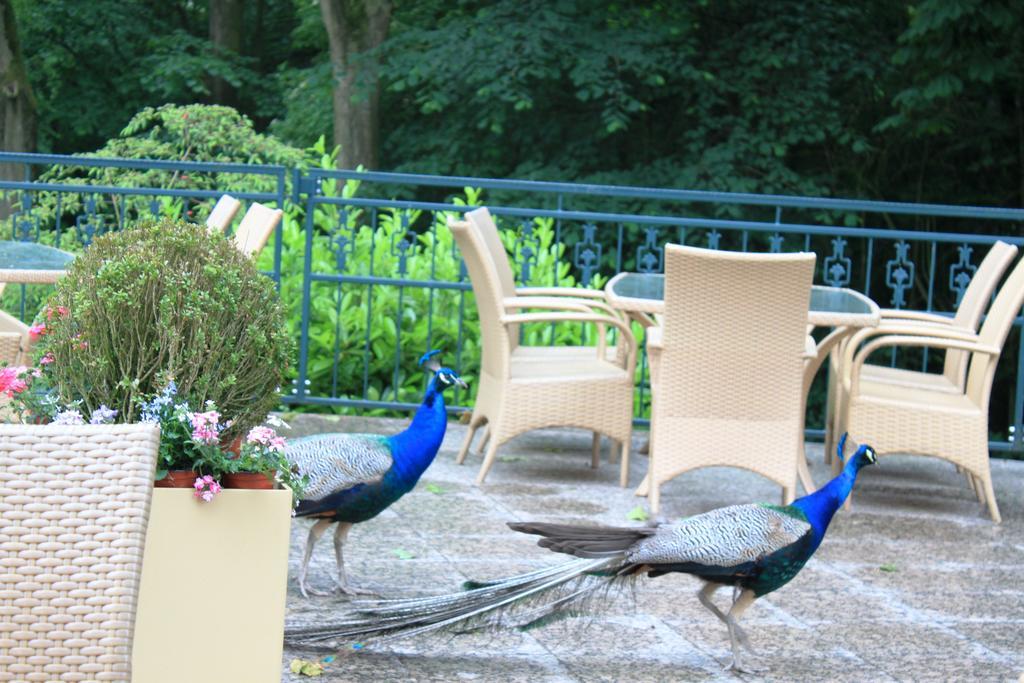 Akzent Hotel Hoxberg Beckum Exterior foto